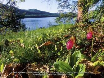 Adirondack Wallpaper Niagara Falls Wild New York