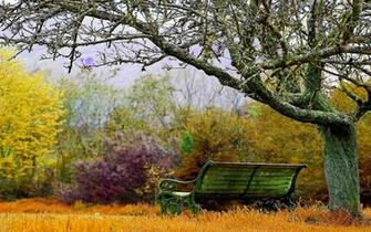 Autumn Landscape Nature Wallpaper HD