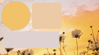 Cute Desktop Organizer Yellow Aesthetic Background T75fkgz3ncmov6n4 Wallpaper