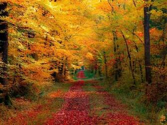 Fall Harvest HD Pc Wallpaper Amazing Wallpaperz
