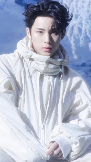 Mingyu Seventeen Sector 4k Wallpaper iPhone HD Phone 7050g
