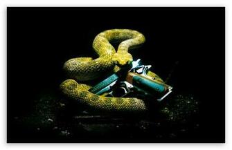 Hitman Absolution Rattlesnake HD Desktop Wallpaper Widescreen