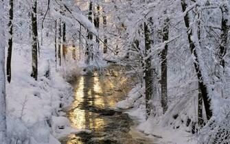 Stock Photos Of Creek And Snowy Trees Nature