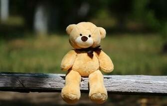 Wallpaper Background Toy Shop Bear Image For Desktop Section