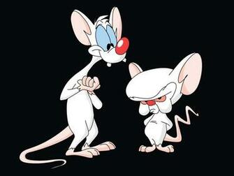 Pinky And The Brain Wallpaper X Net