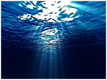 Amazon Under Water Powerpoint Templates