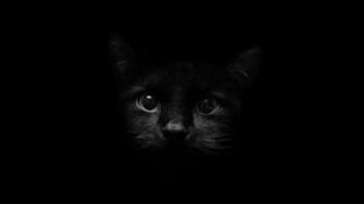 Black Wallpaper Best HD