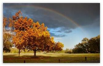 Double Rainbow HD Wallpaper For Standard Fullscreen Uxga Xga