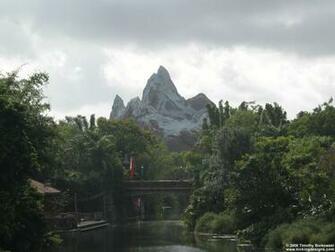 Wallpaper Animal Kingdom High Definition