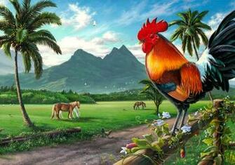 Wallpaper Collections Rooster
