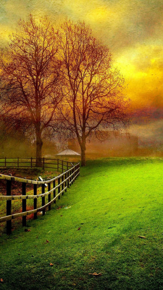 Beautiful Wallpaper For Mobile Phone