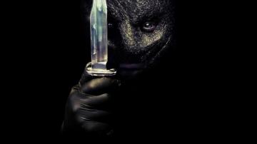 The Collection HD Wallpaper Background Image