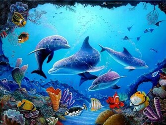 Dolphin Computer Wallpaper Desktop Background Id