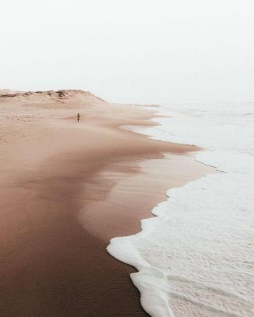 Brown Colour Aesthetic Nature Inspiration
