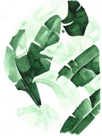 Beverly Banana Leaf Tropical Watercolor Print Green Leaves The Aestate
