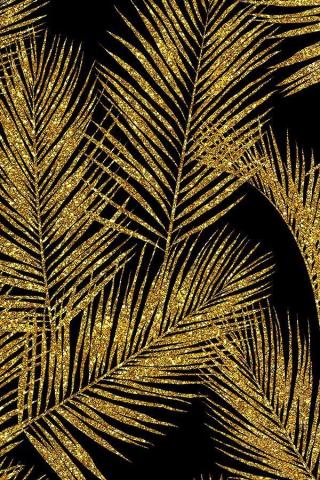 Beautiful Black And Gold Background Wallpaper Teahub Io
