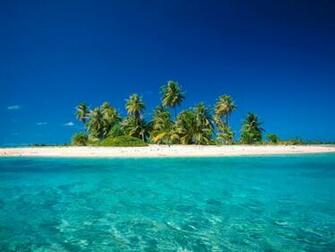 Coconut Island Desktop Wallpaper S