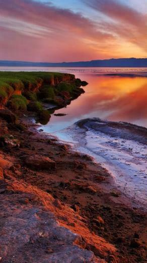 Nature iPhone Plus Wallpaper HD