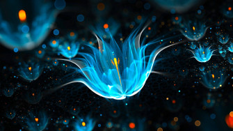 Top 4k Laptop Wallpaper Full HD To Use