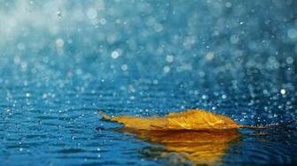 Raindrops Wallpaper For Your Desktop