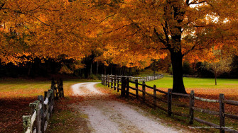 Fall Wallpaper On