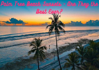 Palm Tree Beach Wallpaper
