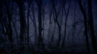 Creepy Forest Wallpaper Wallpoper