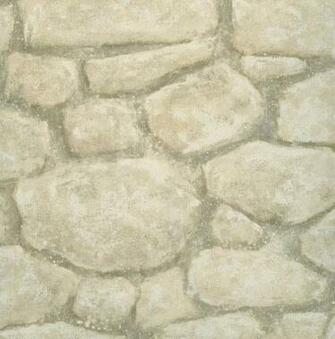 Warner Wallcoverings Chesapeake Outdoors Boundary