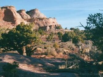 Canyonlands National Park Utah Wallpaper And Web Art Photographs