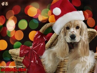 Times Previous Snowfall Wallpaper Next Singing Santa