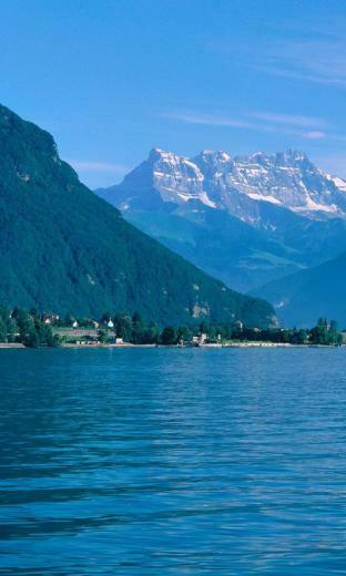 Thought Provoking Summer Wallpaper For Windows Phone