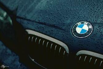 Bmw Logo Wallpaper On Car