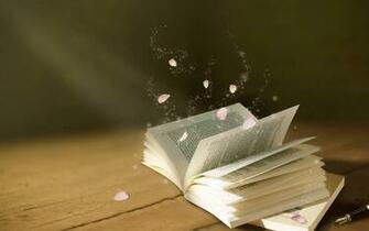 Beautiful Girl Book