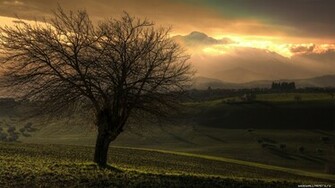 Nature Sunset Wallpaper Background