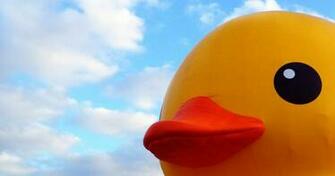 Giant Rubber Duck Wallpaper