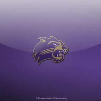 Larger Image Of The iPad Wallpaper If You Want To Save