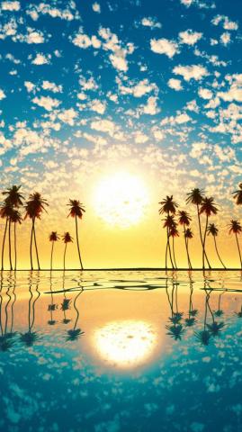 Sunset Palm Tree Cloud Sky Reflection 4k Ultra HD Mobile Wallpaper