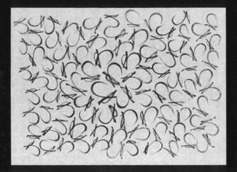 Wa Hiragana Wallpaper Painting By Kim Kimura