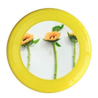 Amazon Skkoka Frisbee Sunflower Flower Background Picture