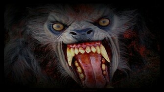 Werewolf Computer Wallpaper Desktop Background Id