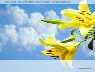Freinds Wallpaper Dgreetings