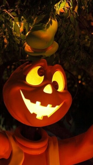 Funny Halloween Wallpaper