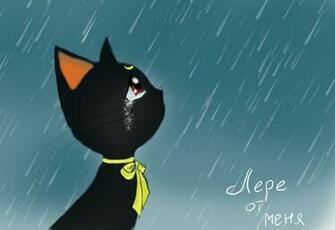 Luna Wallpaper Sailor Moon From By
