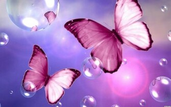 Beautiful Pink Butterfly Wallpaper Flower