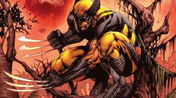 Wolverine 4k Wallpaper