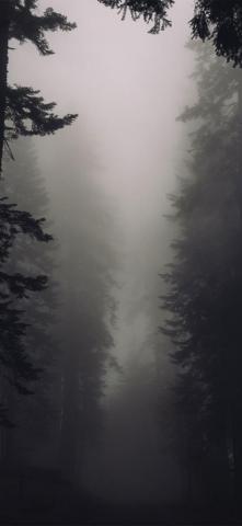 Best High Quality iPhone Xr Wallpaper