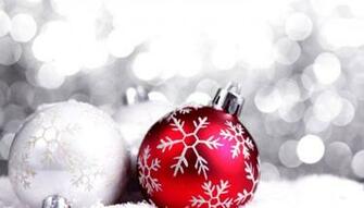 Christmas Flower Bulb Wallpaper HD Insert