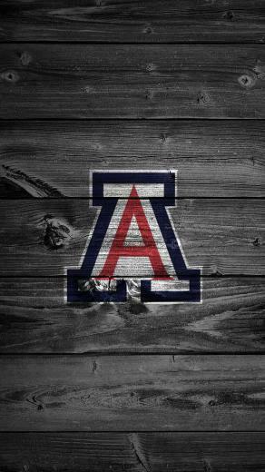 Arizona Wildcats