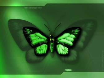Non Nude Wallpaper Computer Green Butterfly
