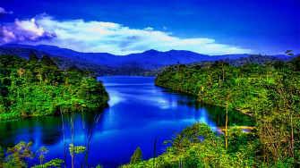 Rainforest Wallpaper Widescreen HD